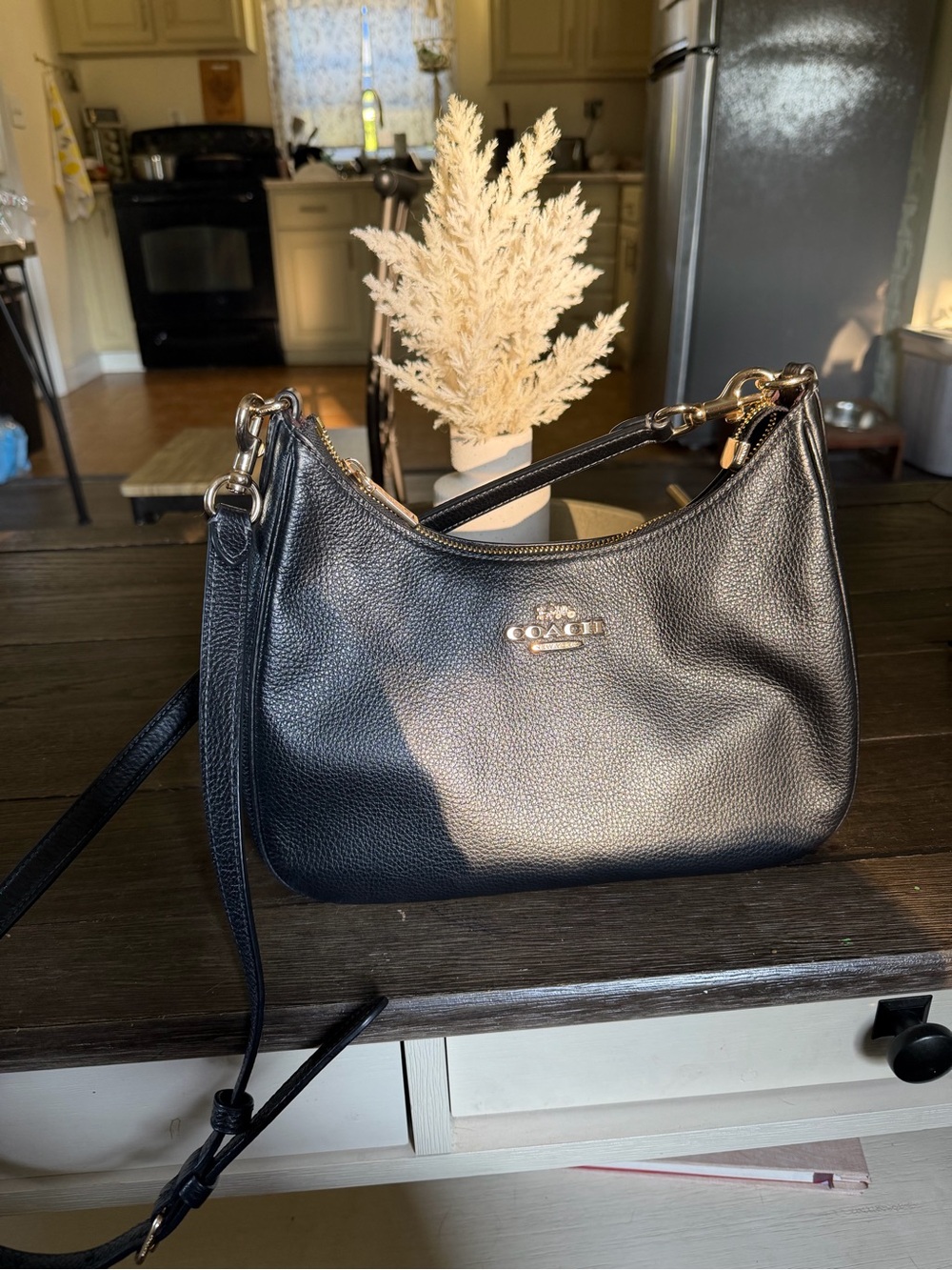 Coach Teri Hobo Bag